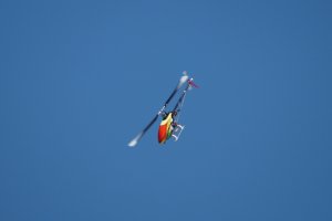 DSC02910